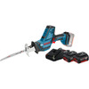 Bosch Professional GSA 18V-LI C inkl. 4,0-Ah-Akku (2x)