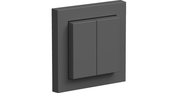 Senic Friends of Hue Wall Switch Anthracite