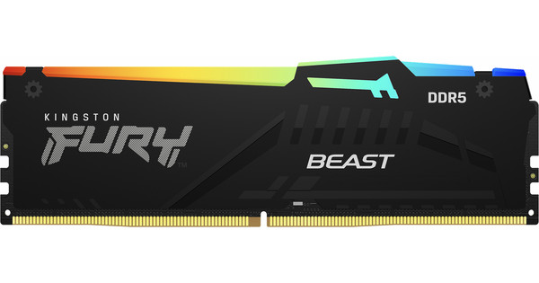 Kingston FURY Beast RGB Expo DDR5 DIMM 5600 MHz 16 GB (1 x 16 GB)