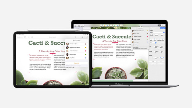 Apple Pages auf iPad und MacBook