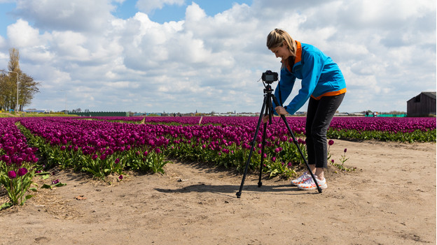 Sturdy tripod