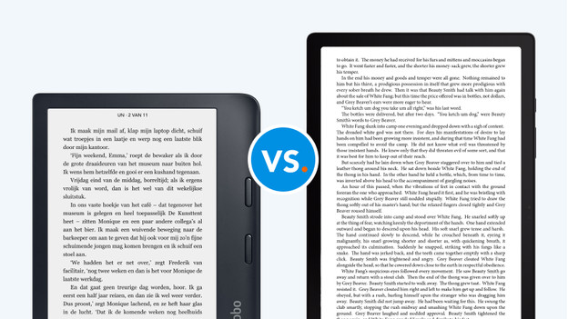 Lesen auf einem eBook-Reader oder Tablet?