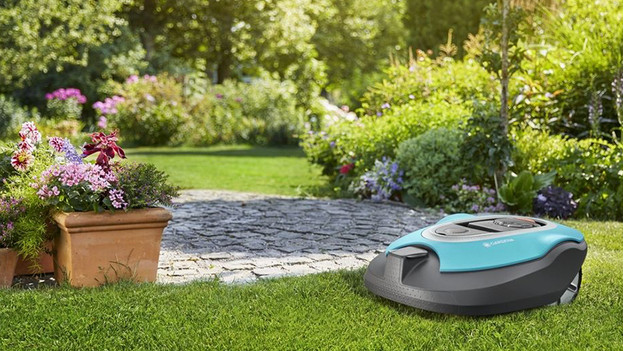 Robot lawn mower in garden