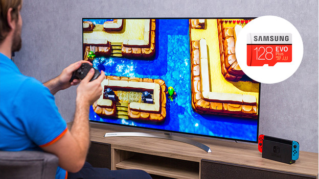 Zelda: Link's Awakening mit einer microSD-Karte in der Ecke auf der Nintendo Switch spielen.