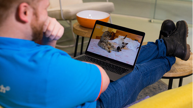 Man watches cat videos on a MacBook.