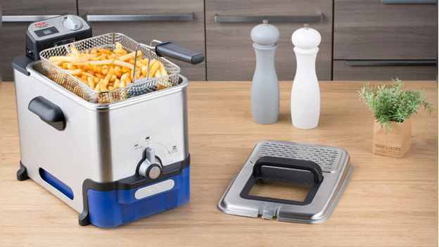 Deep fryer with fries