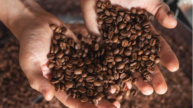 Coffee beans