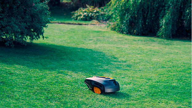 Robot lawn mower in grass