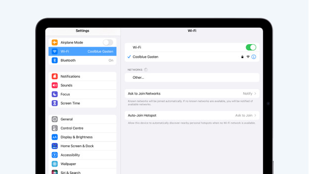 Apple iPad network settings