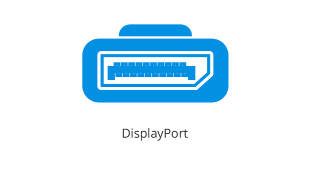 DisplayPort.