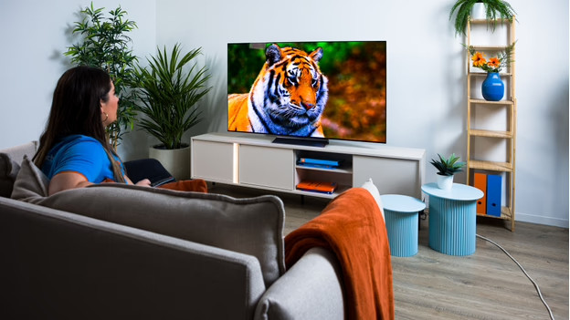 Experte sitzt auf einem Sofa vor dem Fernseher.