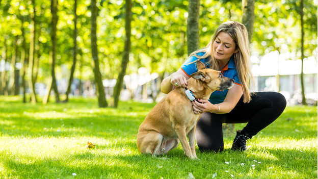 Tractive GPS-Tracker