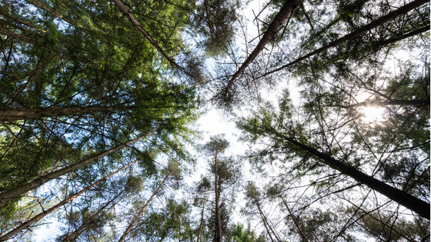 Weitwinkelobjektiv für Landschaftsfotografie