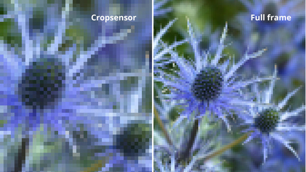 What's a full-frame camera and why should you choose one? | Coolblue ...