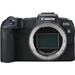 Canon EOS RP + RF 24-105mm f/4-7.1 IS STM 