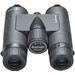 Bushnell Prime 8x32 vorne