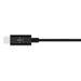 Belkin Rockstar USB-C to 3.5mm Cable Converter 0.9m Black detail