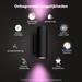 Philips Hue Appear Wall Lamp White and Color Black 3-pack product in use