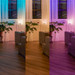 Philips Hue Wandschaltermodul produkt in gebrauch