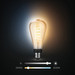 Philips Hue Filament Bulb White Ambiance Edison XL ST72/E27 product in use