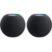 Apple HomePod Mini Gray Duo Pack Main Image