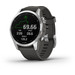 Garmin Fenix 7S Silver/Gray 42mm Main Image