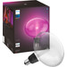 Philips Hue Lightguide Ellipse White and Color E27 Doppelpack verpackung