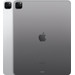 Refurbished iPad Pro (2022) 12,9 Zoll 256 GB Wi-Fi Space Grau (Wie neu) rückseite