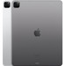 Refurbished iPad Pro (2022) 12,9 Zoll 256 GB Wi-Fi + 5G Space Grau (Wie neu) rückseite