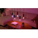 Philips Hue Lightguide Ellipse White and Color E27 + Pendelkabel produkt in gebrauch