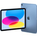 Refurbished iPad (2022) 64 GB Wi-Fi + 5G Blau (Wie neu) rückseite