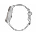 Garmin Vivomove Trend Silver/Gray 