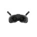 DJI Goggles 2 back