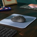 Logitech Signature M650 Wireless Mouse Graphite product in use