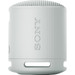 Sony SRS-XB100 Grau Main Image