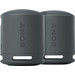 Sony SRS-XB100 Doppelpack Schwarz Main Image