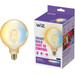 WiZ Smart Filament Light Globe XL - Warm to Cool White Light - E27 Main Image