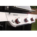 Weber Genesis E-315 visual supplier