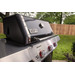 Weber Genesis E-315 visual supplier