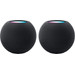 Apple HomePod Mini Black Duo Pack Main Image