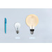 Philips Hue Filamentlampe White Globe XL E27 - 2023 visuelles Coolblue 1