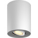 Philips Hue Pillar Aufbauspot White Ambiance - Weiß - 1 Spot Main Image