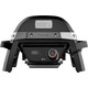 Weber Pulse 1000