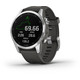 Garmin Fenix 7S Silver/Gray 42mm