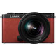 Panasonic LUMIX DC-S9 Red + 20-60mm f/3.5-5.6