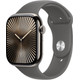 Apple Watch Series 10 4G 46 mm Titan Silber Sportarmband M/L