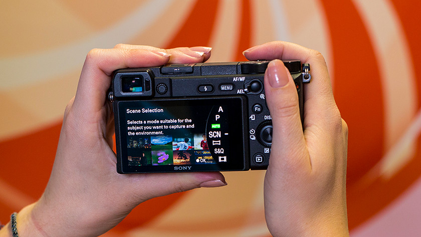 Mirrorless camera controls