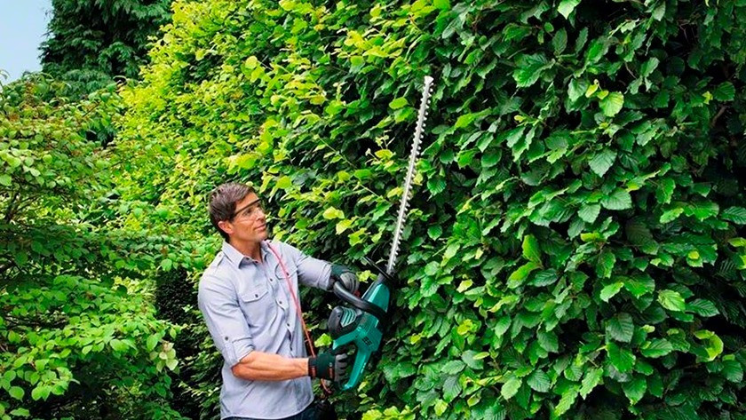 Electric hedge trimmer