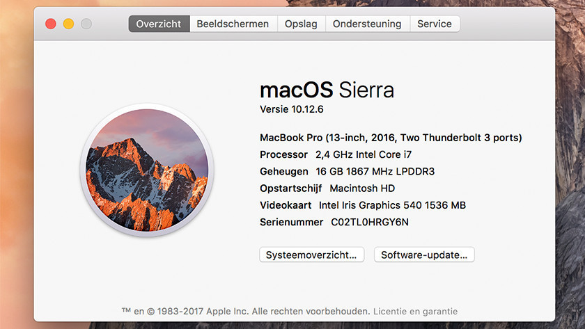 Apple Mac Task-Manager mit korrektem RAM angezeigt
