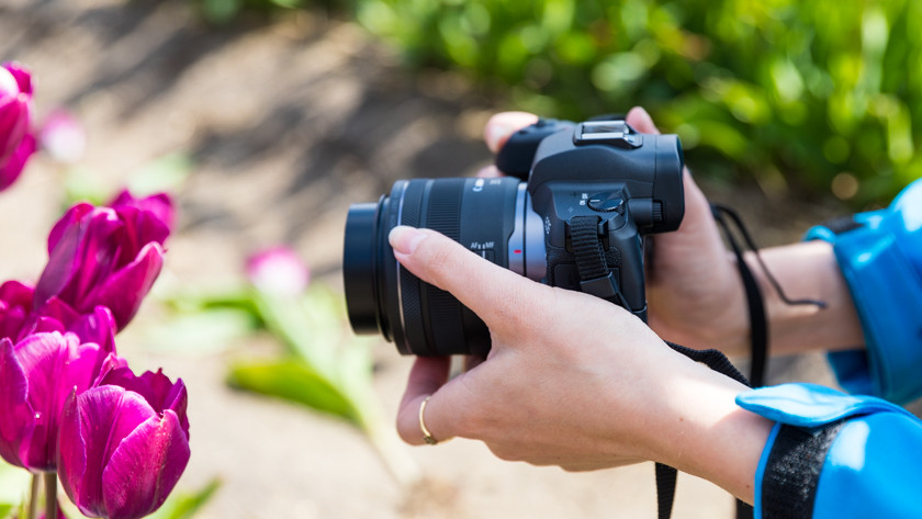 Tipps zur Makrofotografie